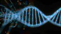 تحقیق محاسبه مبتني بر DNA