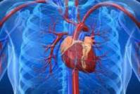 تحقیق اصلاح عوامل بيماريهاي قلبي عروقي عملكرد مردم  در رابطه با اين عوامل   